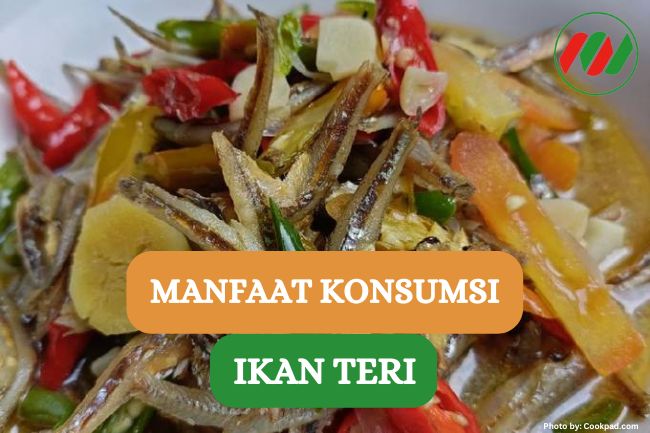 6 Manfaat Konsumsi Ikan Teri yang Harus Kamu Tau